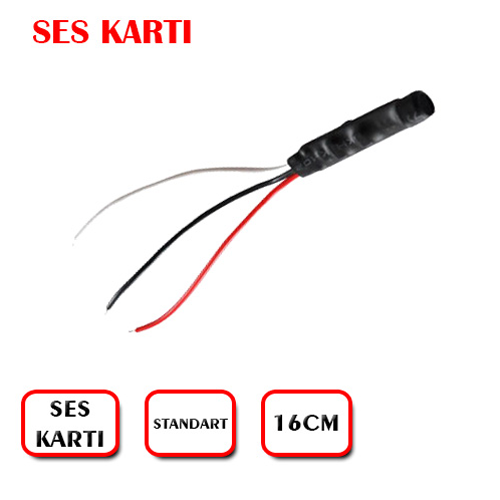 12 VOLT SES MODÜLÜ
